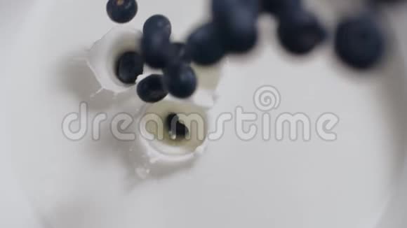 成熟的新鲜前蓝莓会随着溅出的水花缓慢地落在牛奶上使牛奶摇动缓慢地运动食物视频的预览图