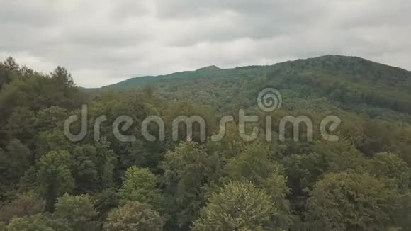 空中景色飞过茂密森林的绿色树梢和群山视频的预览图