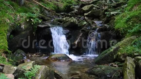 美丽的山溪流淌在长满苔藓的巨石上视频的预览图
