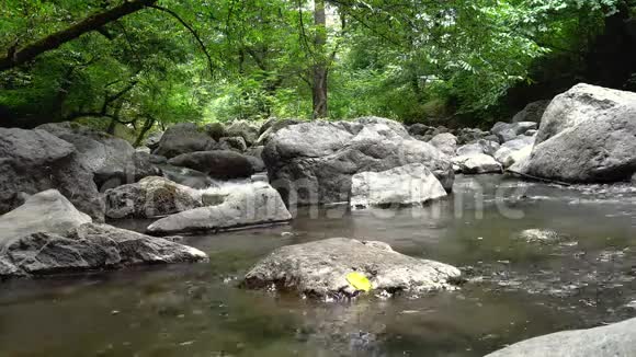 神秘的山地急流神奇的风景河流在森林的中央循环连续视频视频的预览图