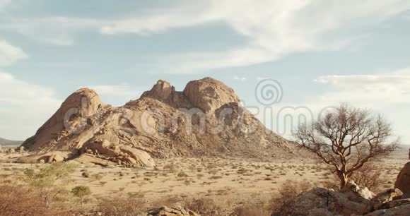 一个美丽的落基山和一棵干燥的沙漠树的镜头艾伦戈地区4k视频的预览图