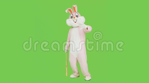 棒球运动员穿成人复活节兔子真人大小的套装在彩色钥匙或绿色上挥动棒球蝙蝠视频的预览图
