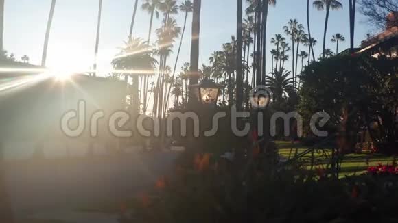 美丽的街道与棕榈花和路灯在贝弗利山加利福尼亚州视频的预览图