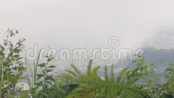 通过白雾和山顶上的草在莫泰山山谷令人惊叹的景色视频的预览图
