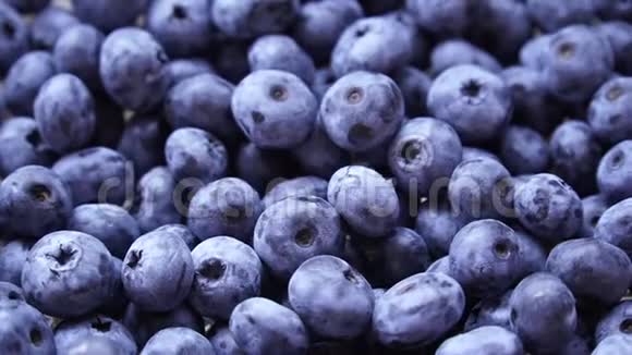 新鲜和成熟的有机蓝莓旋转饮食节食健康素食视频的预览图