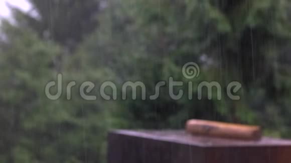 夏季公园大雨视频的预览图