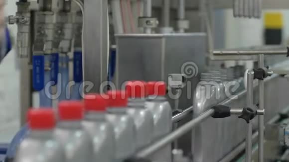 一排灰色塑料瓶在输送线上近距离的手固定盖子在工厂的室内视频的预览图