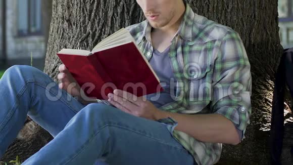 一个人在树下读着吸引人的书全神贯注地看着情节渴望读书视频的预览图