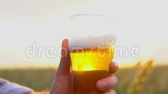 在炎热的夏日里在夕阳的背景下在麦田里一个男人手一杯啤酒太阳透镜耀斑视频的预览图