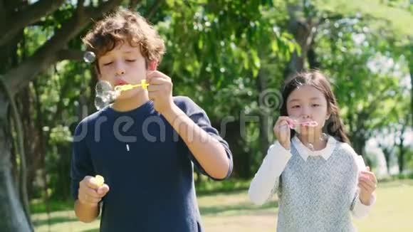 两个孩子在公园户外吹泡泡视频的预览图