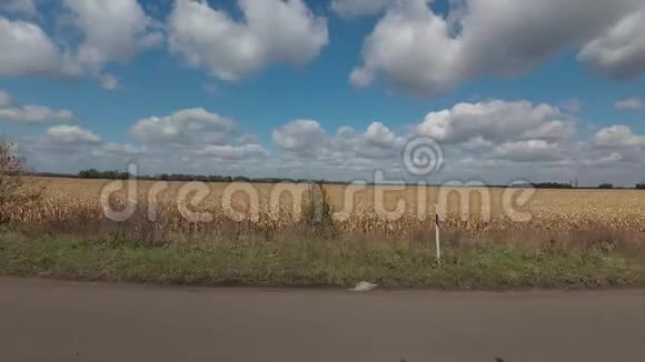 沿着秋天的玉米地骑在路上视频的预览图
