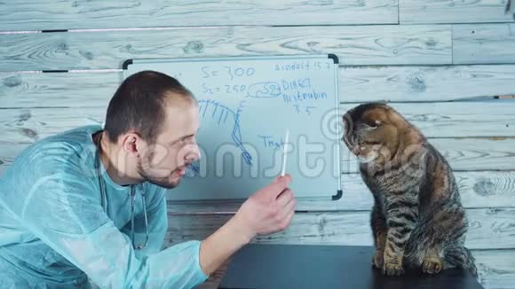 兽医诊所兽医检查时可爱的猫兽医讲习班视频的预览图