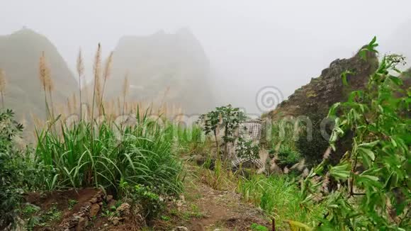 绿色景观薄雾流过巨大的山坡圣安陶高平原的郁郁葱葱4K镜头视频的预览图
