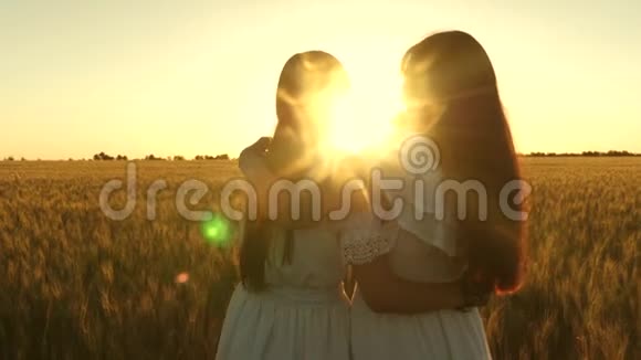 成年女儿抱着母亲在阳光下的田野里妈妈轻轻地抱着女儿视频的预览图