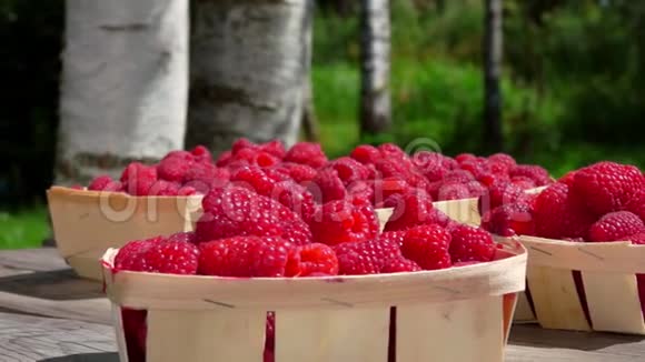 柳条筐里有成熟的红树莓视频的预览图