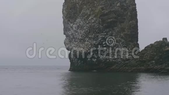 一群海鸟飞过水面坐在海水中的岩石峭壁上视频的预览图