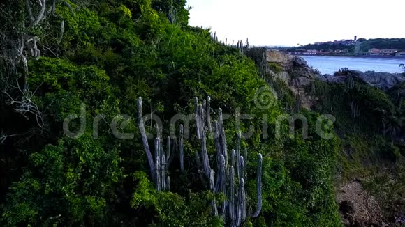 巴西仙人掌半岛狂野的自然山脉和大西洋里约热内卢PaiVitorioBuzios视频的预览图