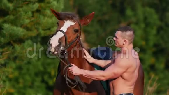 年轻强壮的家伙站在田里的马旁边男人抚摸动物马推人视频的预览图