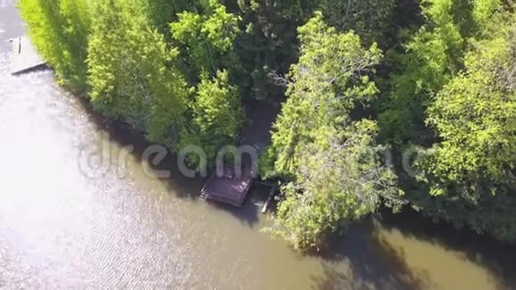 平静的河流和森林海岸无人机射击剪辑以河流木墩和视频的预览图