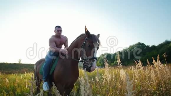 强壮的运动员赤裸的躯干坐在马背上在夏天在田野的中央抚摸着马视频的预览图