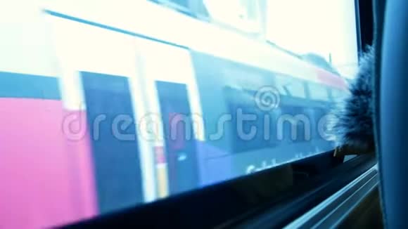 在冬季从奥地利火车的窗户看到朝因斯布鲁克开往萨尔茨堡视频的预览图