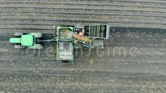 农作物农耕农业的理念一个带土豆的传送带在绿色拖拉机上工作视频的预览图