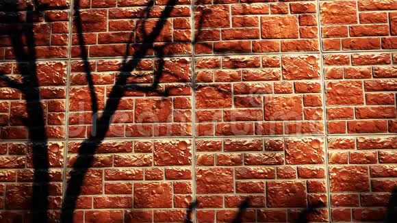 红墙树太阳影手高清镜头视频的预览图