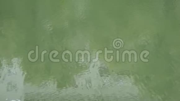 光滑的池塘水面上碧波荡漾的水视频的预览图
