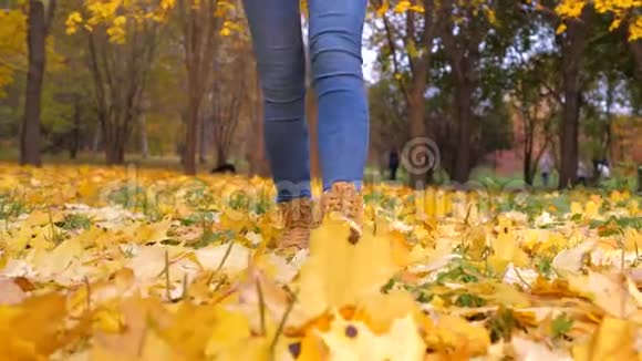 骑着靴子的女人腿带着黄色落叶走向公园视频的预览图