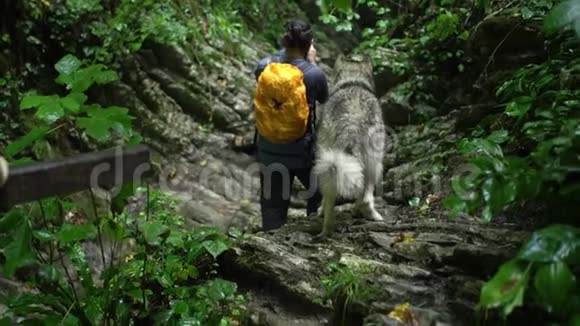 博客旅行者在山上的绿色森林里用动作摄像机拍摄他的狗的视频视频的预览图