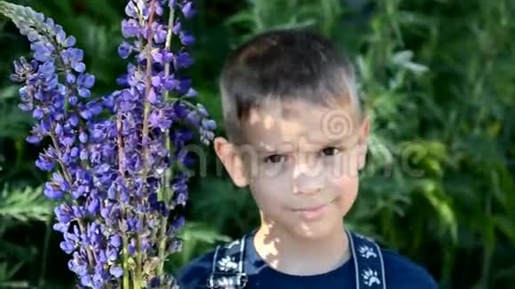 快乐的孩子手里拿着一束野花在夏天前享受着带着一束紫色的可爱男孩视频的预览图