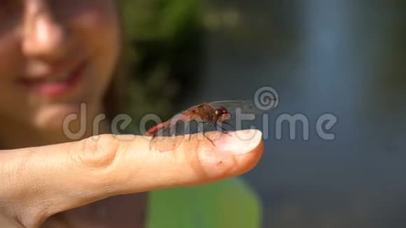 蜻蜓坐在女人的手指上视频的预览图