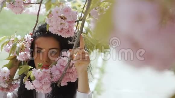美丽的女人透过粉红色的樱花花在镜头里看视频的预览图