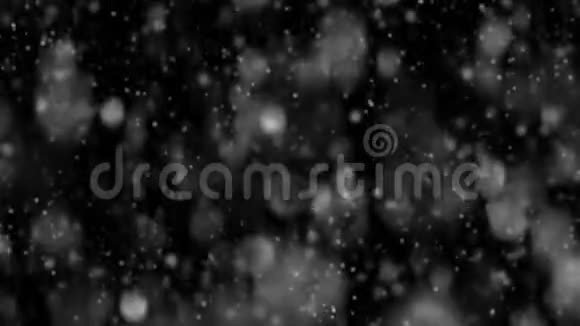 现实的雪花下雪了动态波克孤立在黑色背景上回放录像周期视频的预览图