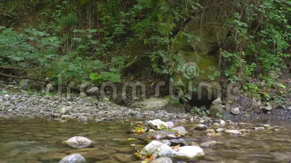 山野丛林自然公园内有石头和树木的小河美景视频的预览图