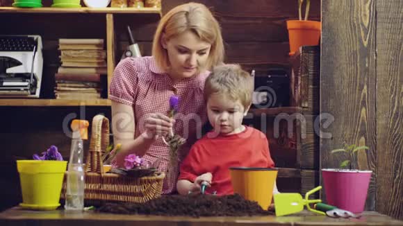 可爱的孩子帮助他的母亲照顾植物母亲和儿子在后院从事园艺工作春天视频的预览图