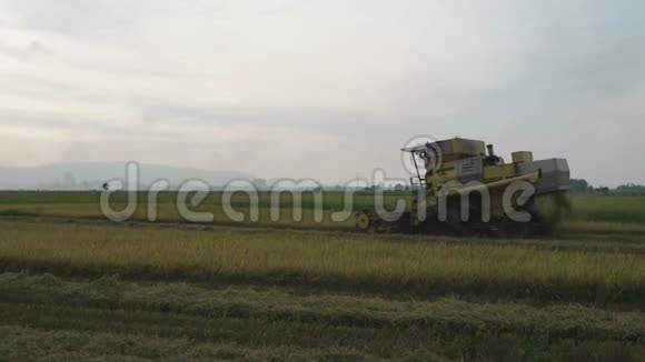 稻收割庄稼的人机器和马来西亚旗悬挂向指已提到的人运送视频的预览图