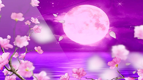 梅花花瓣飘落圆月戏曲表演视频视频的预览图