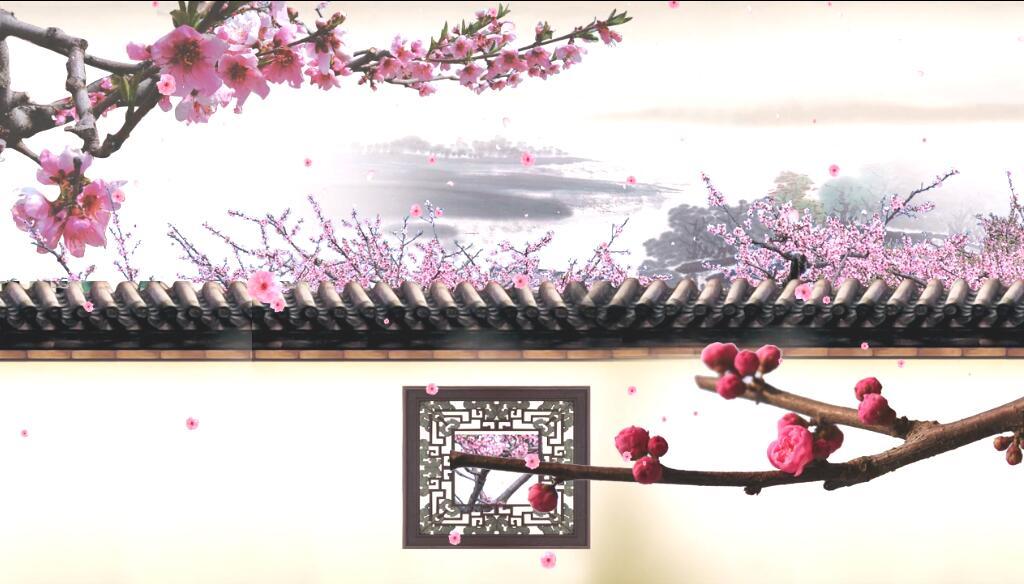 中国风古院墙院子桃花梅花(有音乐)视频素视频的预览图