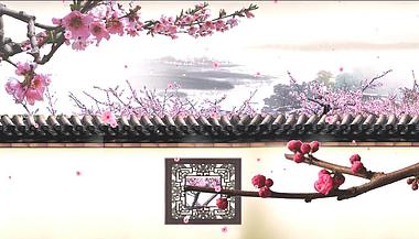 中国风古院墙院子桃花梅花(有音乐)视频素视频的预览图