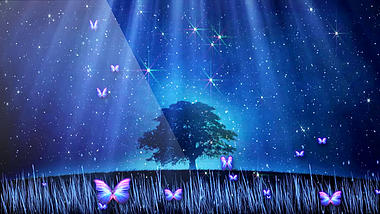 星光闪烁蝴蝶飞舞浪漫舞台led背景视频的预览图