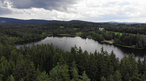 森林公园内陆湖自然风景高清实拍视频视频的预览图