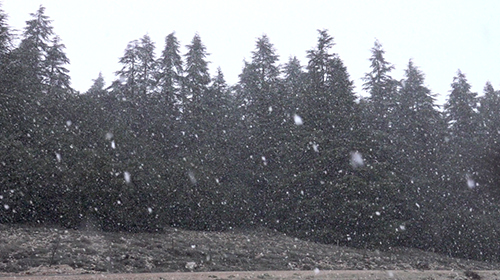 冬季雪天风景高清实拍视频视频的预览图