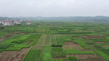 航拍四川成都的农田原始素材视频的预览图