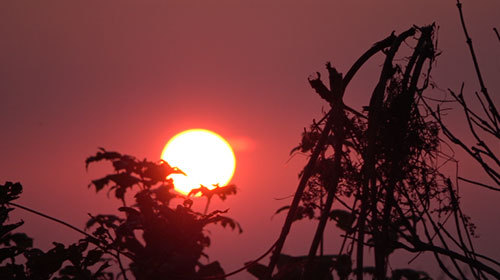 仰视落日夕阳照映出的红色天空高清实拍视频视频的预览图