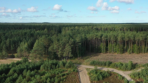 高清实拍视频-航拍飞过东欧森林视频的预览图