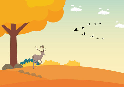 秋天凝望的小鹿图片素材免费下载