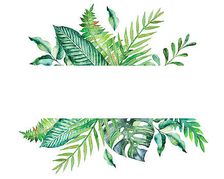 水彩热带树叶图案图片素材免费下载