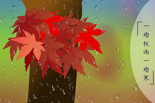 秋雨中的枫叶树特写背景图片素材免费下载