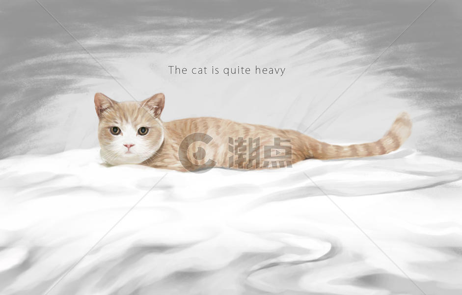 躺在沙发上慵懒的猫图片素材免费下载